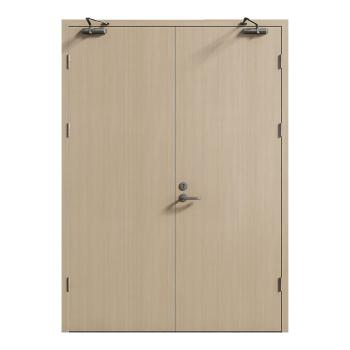 FHM-1014 Modern Steel Fireproof Door for Mall & Hospital Use Fire Prevention
