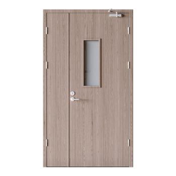 FHM-1026 High Performance Steel Fireproof Door Fire Prevention Modern Design for Mall Commercial Use Cost Effective Solution