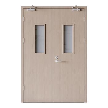 FHM-1027 Steel Fireproof Door Modern Fire Prevention Exterior Door with Finished Surface for Hospital Hotel Mall Commercial Use